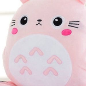Brand new PINK Totoro plush soft pillow and blanke